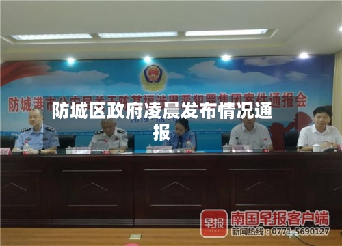 防城区政府凌晨发布情况通报