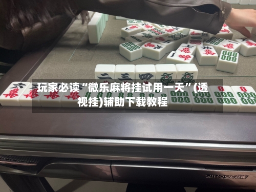 玩家必读“微乐麻将挂试用一天”(透视挂)辅助下载教程