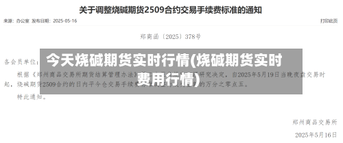 今天烧碱期货实时行情(烧碱期货实时费用行情)