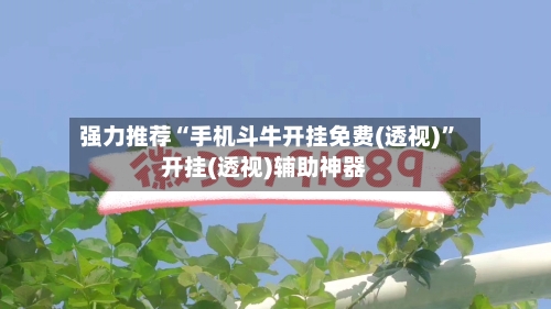 强力推荐“手机斗牛开挂免费(透视)”开挂(透视)辅助神器