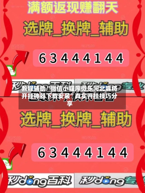 教程辅助“微信小程序微乐河北麻将开挂神器下载安装”真实开挂技巧分享-第2张图片