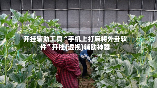 开挂辅助工具“手机上打麻将外卦软件	”开挂(透视)辅助神器-第3张图片