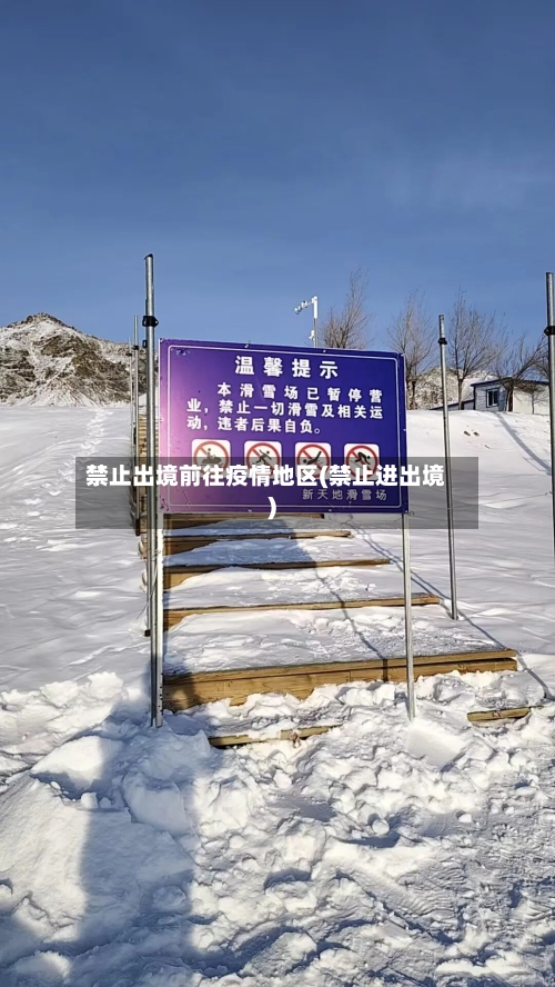 禁止出境前往疫情地区(禁止进出境)