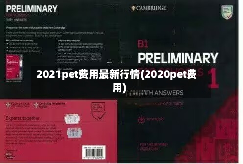 2021pet费用最新行情(2020pet费用)-第2张图片