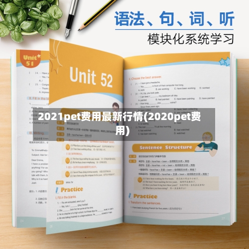 2021pet费用最新行情(2020pet费用)