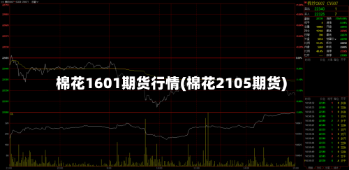 棉花1601期货行情(棉花2105期货)-第2张图片