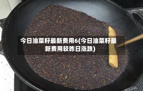 今日油菜籽最新费用6(今日油菜籽最新费用较昨日涨跌)