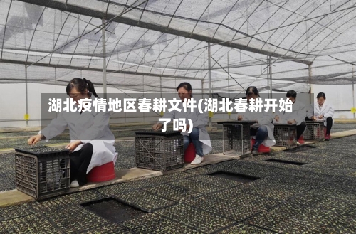 湖北疫情地区春耕文件(湖北春耕开始了吗)