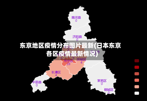 东京地区疫情分布图片最新(日本东京各区疫情最新情况)-第2张图片