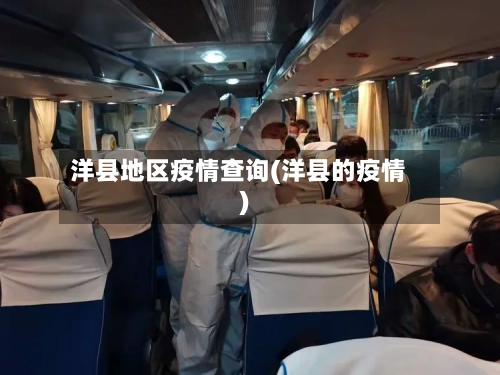 洋县地区疫情查询(洋县的疫情)