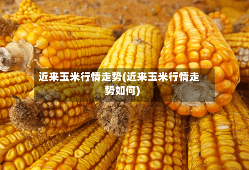 近来玉米行情走势(近来玉米行情走势如何)