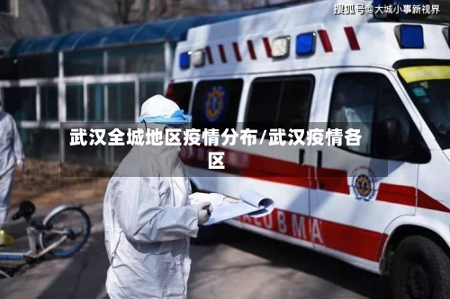 武汉全城地区疫情分布/武汉疫情各区-第2张图片