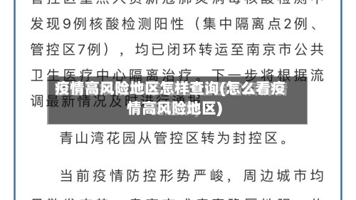 疫情高风险地区怎样查询(怎么看疫情高风险地区)-第3张图片