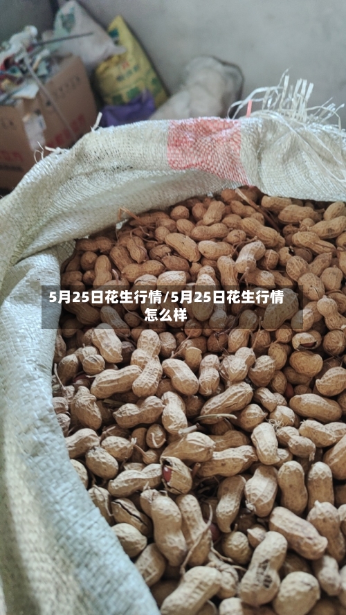 5月25日花生行情/5月25日花生行情怎么样-第3张图片