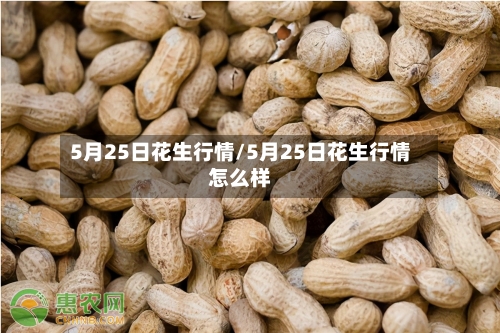 5月25日花生行情/5月25日花生行情怎么样-第2张图片