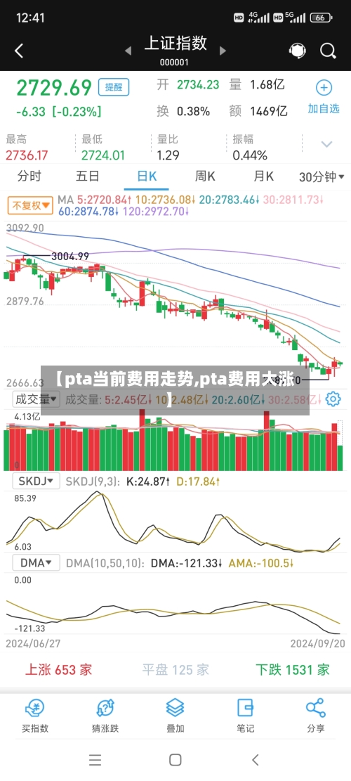 【pta当前费用走势,pta费用大涨】