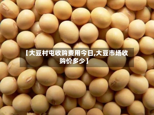 【大豆村屯收购费用今日,大豆市场收购价多少】