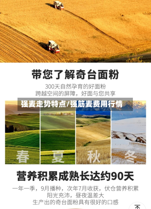 强麦走势特点/强筋麦费用行情