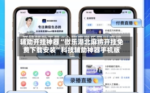 辅助开挂神器“微乐湖北麻将开挂免费下载安装”科技辅助神器手机版-第2张图片