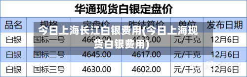 今日上海长江白银费用(今日上海现货白银费用)-第3张图片