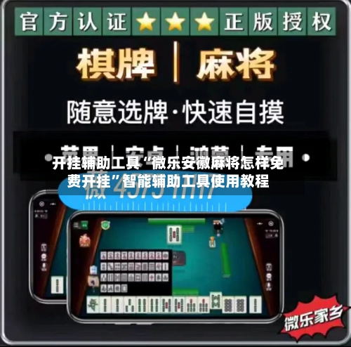 开挂辅助工具“微乐安徽麻将怎样免费开挂”智能辅助工具使用教程-第2张图片