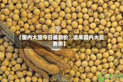 【国内大豆今日最新价佫,近来国内大豆费用】-第2张图片