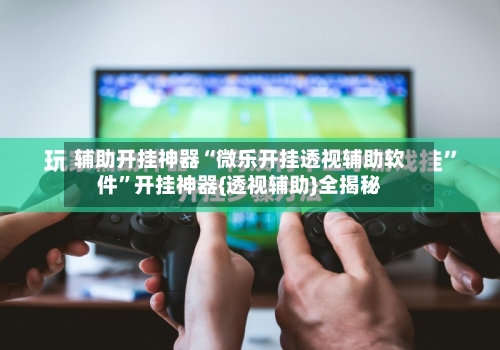 辅助开挂神器“微乐开挂透视辅助软件”开挂神器{透视辅助}全揭秘