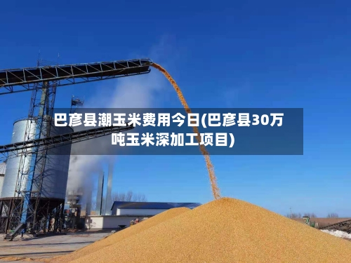 巴彦县潮玉米费用今日(巴彦县30万吨玉米深加工项目)