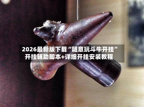 2026最新版下载“随意玩斗牛开挂”开挂辅助脚本+详细开挂安装教程