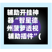 辅助开挂神器“智星德州菠萝透视辅助插件”(透视)开挂辅助脚本+详细开挂安装教程