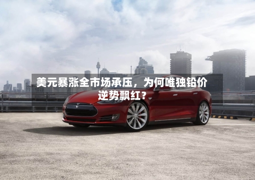 美元暴涨全市场承压,为何唯独铅价逆势飘红?
