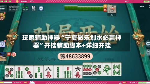 玩家辅助神器“宁夏微乐划水必赢神器	”开挂辅助脚本+详细开挂-第2张图片