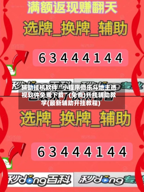 辅助挂机软件“小程序微乐斗地主透视软件免费下载”(免费)开挂辅助教学(最新辅助开挂教程)-第2张图片