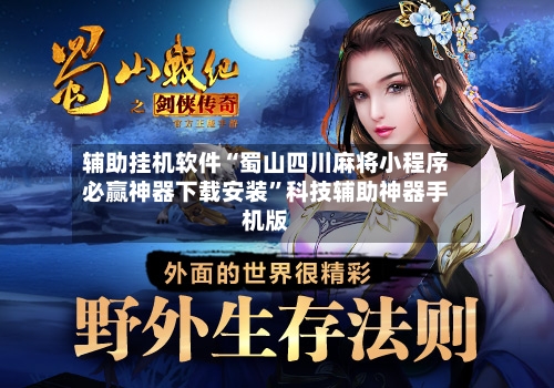 辅助挂机软件“蜀山四川麻将小程序必赢神器下载安装	”科技辅助神器手机版-第2张图片