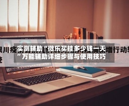 实测辅助“微乐买挂多少钱一天	”万能辅助详细步骤与使用技巧-第2张图片