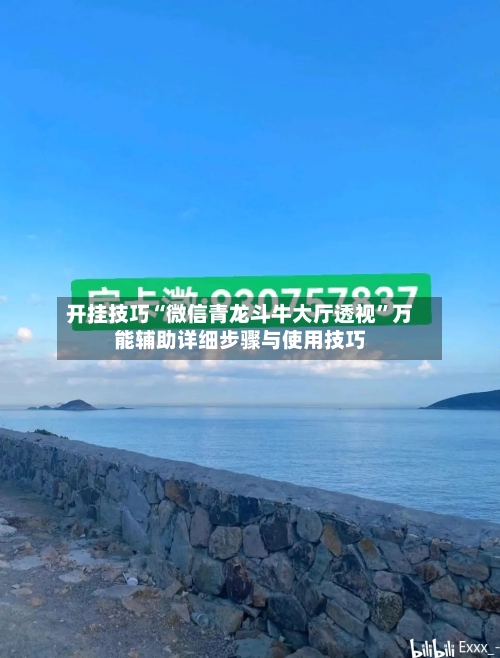 开挂技巧“微信青龙斗牛大厅透视”万能辅助详细步骤与使用技巧-第3张图片
