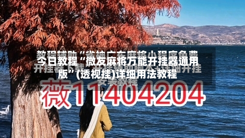 今日教程“微友麻将万能开挂器通用版”(透视挂)详细用法教程-第2张图片