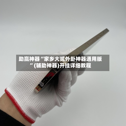 助赢神器“家乡大贰外卦神器通用版”(辅助神器)开挂详细教程