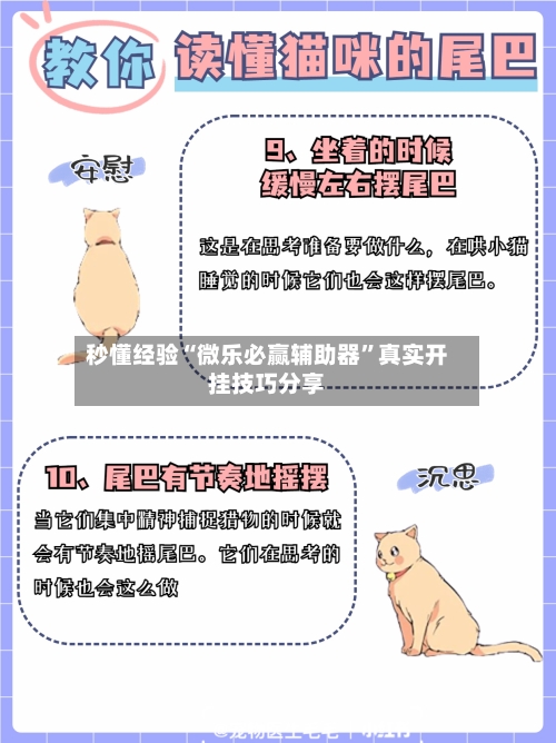 秒懂经验“微乐必赢辅助器”真实开挂技巧分享-第3张图片
