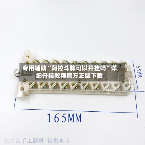 专用辅助“阿拉斗牌可以开挂吗”详细开挂教程官方正版下载-第3张图片