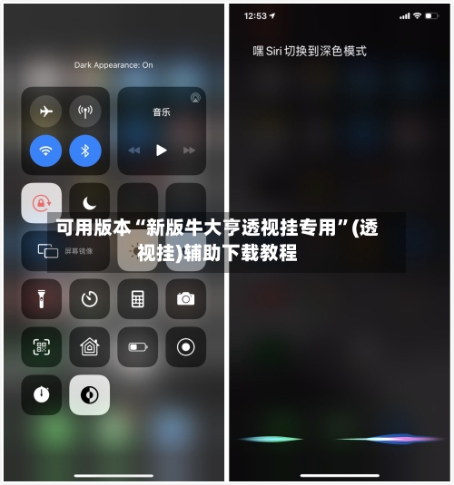 可用版本“新版牛大亨透视挂专用”(透视挂)辅助下载教程-第2张图片