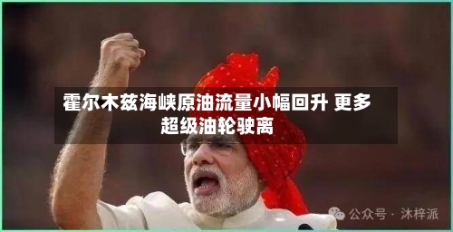 霍尔木兹海峡原油流量小幅回升 更多超级油轮驶离-第3张图片