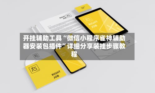 开挂辅助工具“微信小程序雀神辅助器安装包插件”详细分享装挂步骤教程-第3张图片