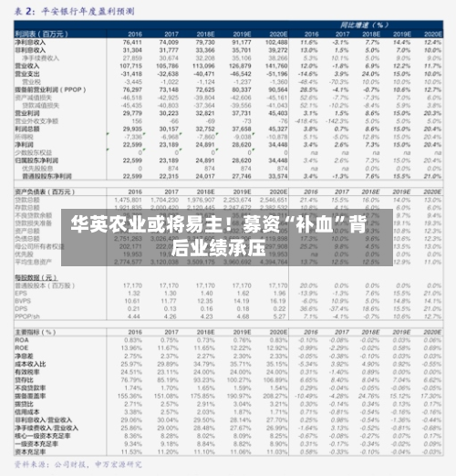 华英农业或将易主！募资“补血	”背后业绩承压-第2张图片