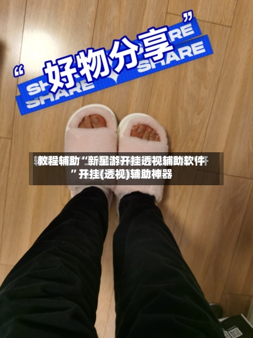 教程辅助“新星游开挂透视辅助软件”开挂(透视)辅助神器-第3张图片