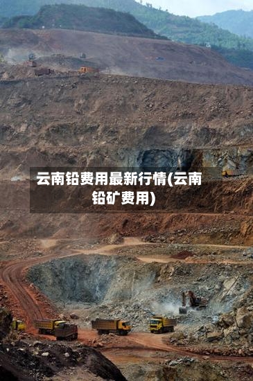 云南铅费用最新行情(云南铅矿费用)