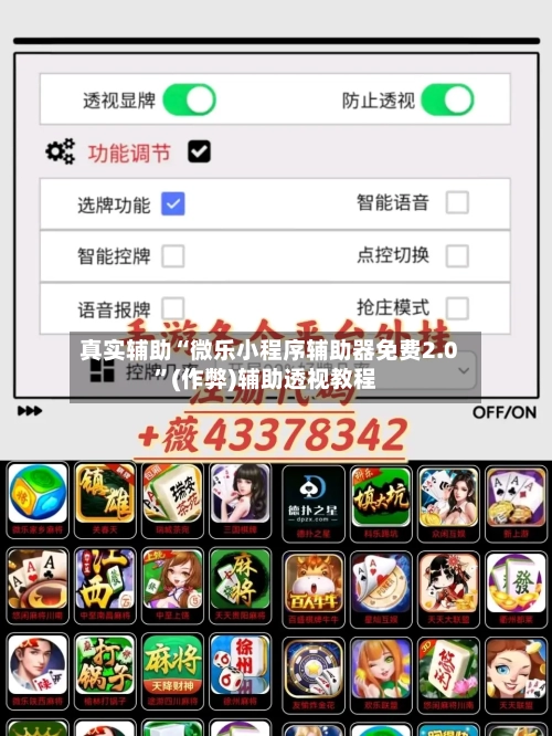 真实辅助“微乐小程序辅助器免费2.0	”(作弊)辅助透视教程-第2张图片