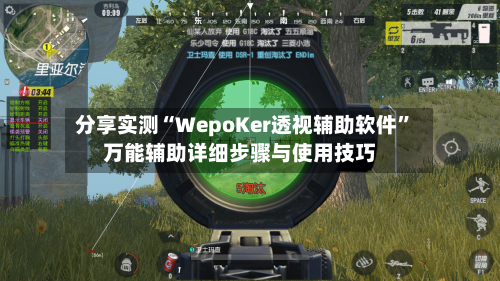 分享实测“WepoKer透视辅助软件”万能辅助详细步骤与使用技巧-第2张图片