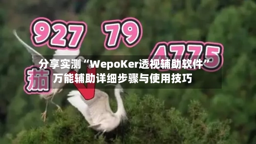 分享实测“WepoKer透视辅助软件”万能辅助详细步骤与使用技巧