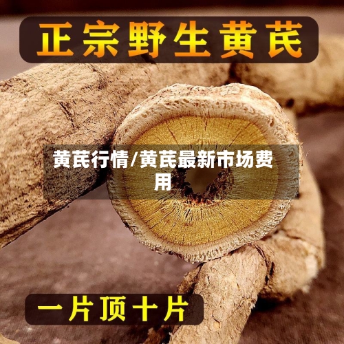 黄芪行情/黄芪最新市场费用-第2张图片